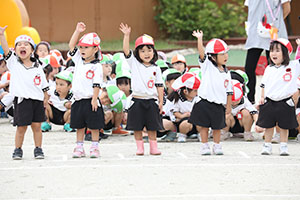 運動会　かけっこの活動　年少