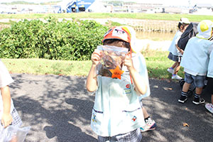 お散歩にでかけました　きりん・ぱんだ