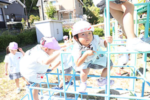 お散歩へでかけました　ことり・すみれ