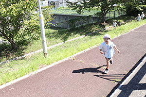 お散歩へでかけました　ことり・すみれ