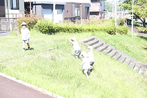 お散歩へでかけました　ことり・すみれ