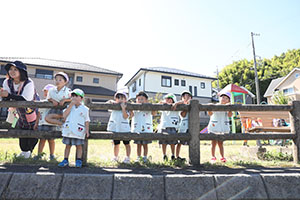 お散歩へでかけました　ことり・すみれ