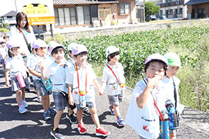 お散歩へでかけました　ことり・すみれ