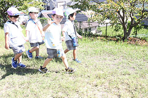 お散歩へでかけました　ことり・すみれ