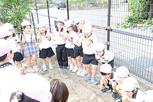 すみれ農園はじめます！　すみれ