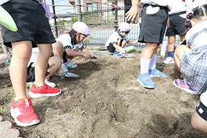 すみれ農園はじめます！　すみれ
