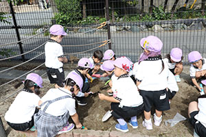 すみれ農園はじめます！　すみれ