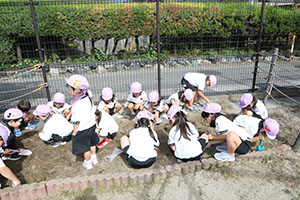 すみれ農園はじめます！　すみれ