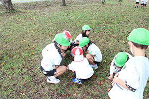 お散歩へでかけました　りす・B