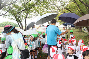 お散歩へでかけました　りす・B