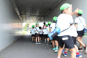 お散歩へでかけました　りす・B