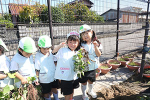エンゼル畑でおいもほり　年少