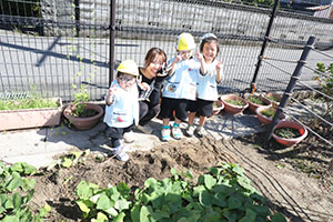 エンゼル畑でおいもほり　年少