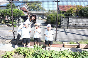 エンゼル畑でおいもほり　年少