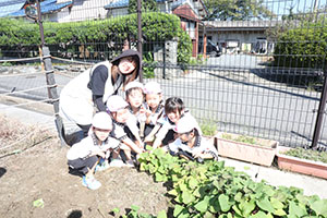 エンゼル畑でおいもほり　年少