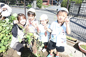 エンゼル畑でおいもほり　年少