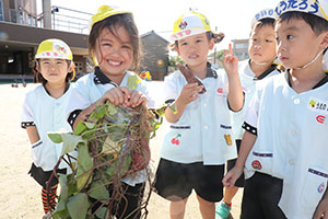 エンゼル畑でおいもほり　年少
