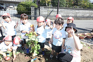 エンゼル畑でおいもほり　年少