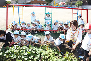 エンゼル畑でおいもほり　年少