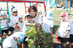 エンゼル畑でおいもほり　年少