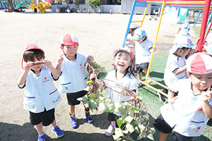エンゼル畑でおいもほり　年少