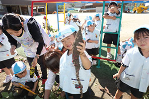 エンゼル畑でおいもほり　年少