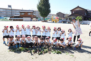 エンゼル畑でおいもほり　年少