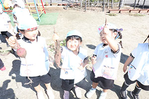 エンゼル畑でおいもほり　年少