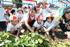 エンゼル畑でおいもほり　年少