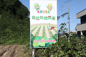 エンゼル自然体験農園でおいもほり　　年中