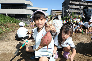エンゼル自然体験農園でおいもほり　　年中
