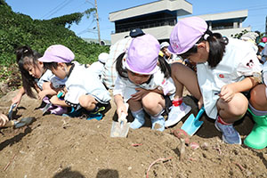 エンゼル自然体験農園でおいもほり　　年中