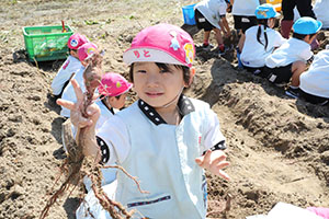 エンゼル自然体験農園でおいもほり　　年中