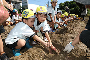 エンゼル自然体験農園でおいもほり　　年中