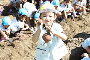 エンゼル自然体験農園でおいもほり　　年中