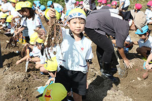 エンゼル自然体験農園でおいもほり　　年中