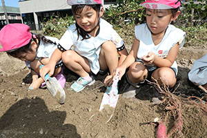 エンゼル自然体験農園でおいもほり　　年中