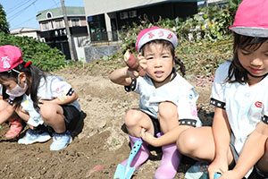 エンゼル自然体験農園でおいもほり　　年中