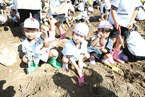 エンゼル自然体験農園でおいもほり　　年中
