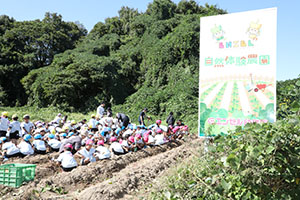 エンゼル自然体験農園でおいもほり　　年中