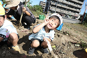 エンゼル自然体験農園でおいもほり　　年中