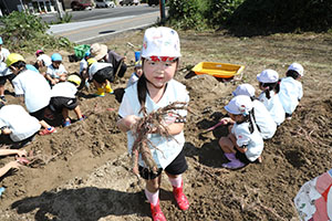 エンゼル自然体験農園でおいもほり　　年中