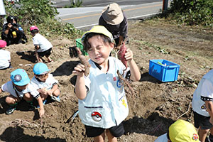 エンゼル自然体験農園でおいもほり　　年中