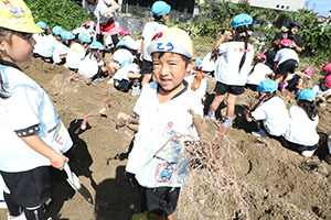 エンゼル自然体験農園でおいもほり　　年中