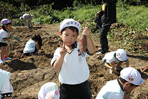 エンゼル自然体験農園でおいもほり　　年中
