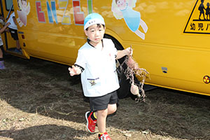 エンゼル自然体験農園でおいもほり　　年中