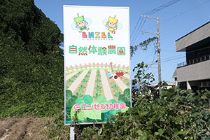 エンゼル自然体験農園でおいもほり　　年長