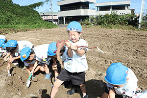 エンゼル自然体験農園でおいもほり　　年長