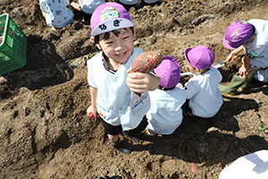 エンゼル自然体験農園でおいもほり　　年長