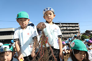 エンゼル自然体験農園でおいもほり　　年長
